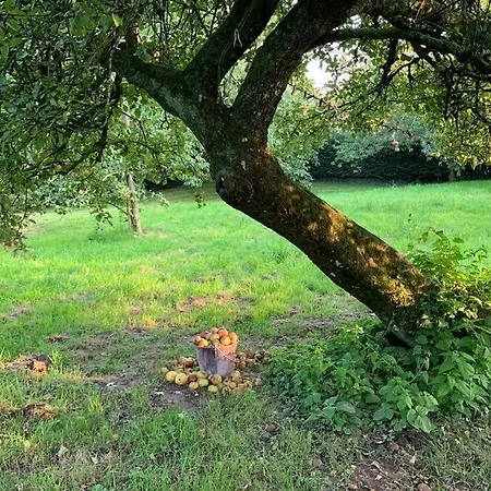 Un écrin de nature 14p - Bain Nordique - Sauna en option - Baby foot - Fléchettes - Pétanque