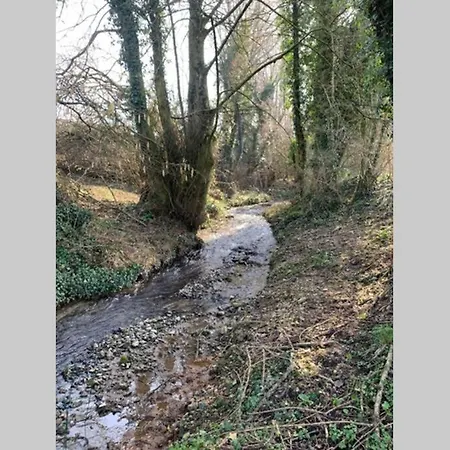 Un Ecrin De Nature 14p - Bain Nordique - Sauna En Option - Baby Foot - Flechettes - Petanque *