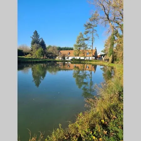 Tatil Evi Un Ecrin De Nature 14p - Bain Nordique - Sauna - Baby Foot - Flechettes - Petanque Vieil-Moutier